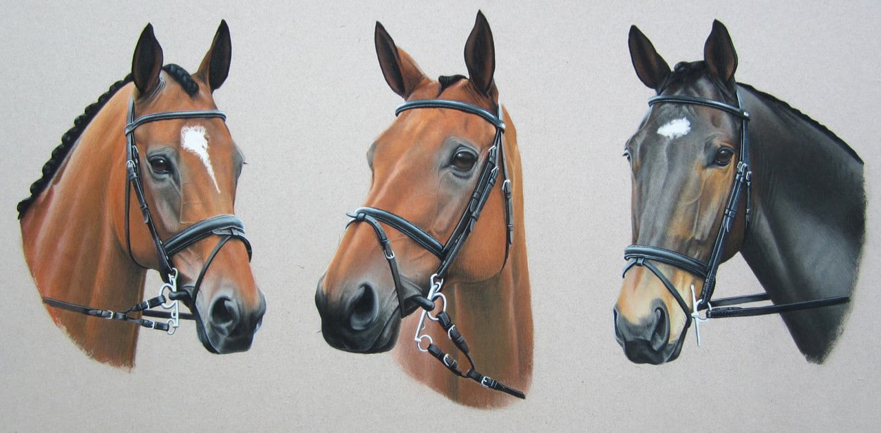 William Fox Pitt Paintings